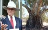 Katter Says The Key To Limiting Carbon Emissions Is Those Big Red River Gums, But Ya Can’t Camp Under Em Because Those Branches Have A Mind Of Their Own, Funny Story Actually, There Was This Bloke Named Chinaman Charlie Who Left Behind Two Wives And 19 Ja