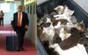 Barnaby Returns From America With The Suitcase Of Duty-Free Dead Cats That Scotty Asked For