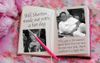 Mean Girls Saga Gets Worse As Labor Party Burn Book Leaked