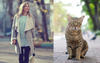 Pleasant Morning Stroll Immediately Ruined After Neighbourhood Cat Rejects All Offers Of ‘PSPSPSPSP’