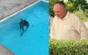 Barnaby Tells Kangaroo Swimming In His Damn Pool To Get The Hell Out Before He Calls The Cops