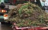 Suncorp Stadium Chucks Entire Pitch Into A Skip Bin After 8 NRL Matches In Torrential Rain