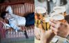 Local Man Gives TV Series ‘The Boys’ A Whirl Under Impression It’s About Having A Few Cold Ones