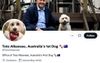 Labor Takes Huge Hit In The Polls After  Creation Of Cringe Twitter Account For PM’s Dog