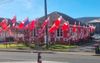 Neighbour Just A Little Bit Excited About Pacific Test Matches