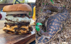 Local Cafe Taps Into Niche Market With Burgers Clearly Designed For Scrub Pythons