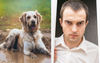 Dog Displays Rare Self Awareness By Casting Hesitant Look Towards Owner Before Rolling In Puddle