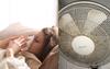 ‘Why Are My Allergies So Bad?’ Asks Woman Who Unleashes This Beast Every Night In Peak Of Winter
