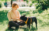 Gentrification Ramping Up As Local Dogs Have Japanese Names