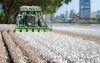 QLD Government Cover South Bank With Cotton Farms To Prevent Further Flooding In 3rd La Nina