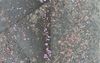 Jacarandas Begin Transforming From Majestic Purple Flora To Dangerous Footpath Sludge￼