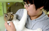 Naww! Cat Touching You With Paws It Just Used To Flip Its Turds