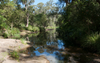 Riverbank Where Everyone Loses their Virginity Under Threat After Council Unveil A Damn “Community Beach”