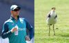 Steve Smith Begins Test Prep Wondering Where That Nice Bird On The Oval Sleeps At Night Time