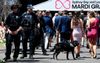 NSW Police Will Still Attend Mardi Gras But Will Bring Their Party Pooper Dogs Now