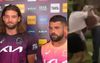 NRL Stars Required To Explain Age-Old Rugby League Ritual Of Young Calf And Old Bull Locking Horns