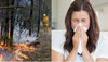 Inner-City Leftie Furious That Hazard Reduction Fires Have Caused Off-Season Hay Fever