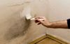 Landlord Pops Into Investment Property To Resolve Mould Issue Ahead Of New Tenants Moving In