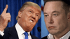Trump And Musk’s Feud Once Again Proving That Men Are Too Emotional To Be Leaders