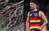 Adelaide Crows Plead The ‘Bundle Of Sticks’ Defence