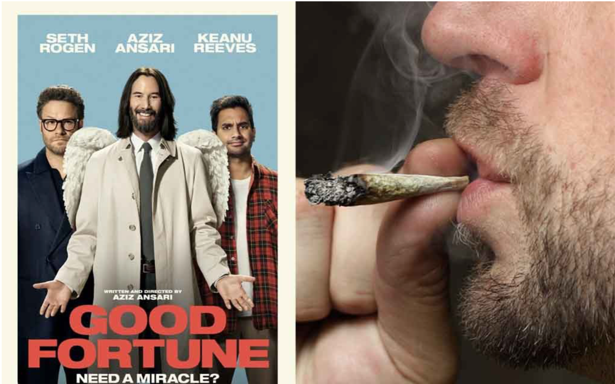 dog ate cigarette but is acting fine Goldendoodle survives nicotine poisoning from cigarette butt