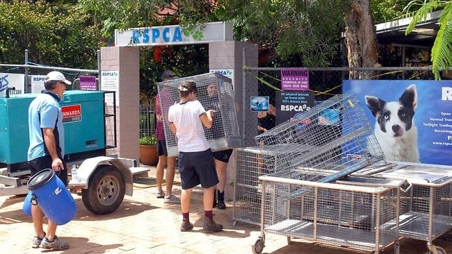 The Betoota Advocate apologises to the hardworking volunteers of the QLD RSPCA.