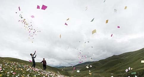 The Hume Highway is littered with McDonalds wrappers and the broken dreams of many Greens MPs. PHOTO: The Canberra Times