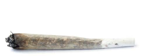 Bruce says the cigarette in question appeared to have a "cardboard filter"