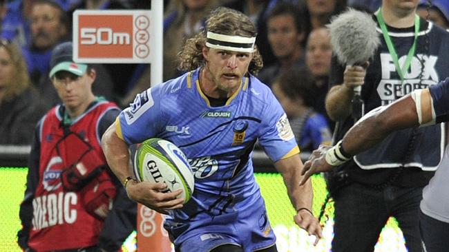 Badger splits off from the mob