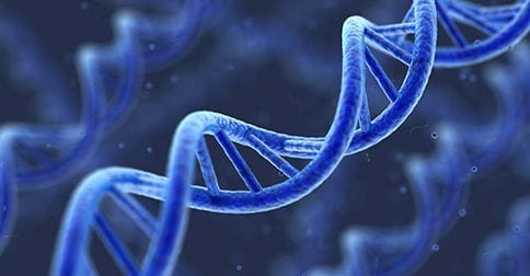 DNA has played a huge role in determining the NSW Blues team this season.