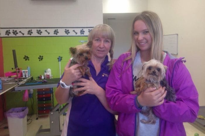 PHOTO: The social media post that revealed that wherabouts of Johnny Depp's unlisted Yorkshire terriers, Boo and Pistol at Happy Dogz groomers on the Gold Coast. (Supplied: Happy Dogz)
