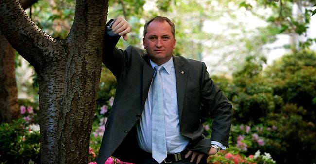 Nationals deputy leader and minister for agriculture Barnaby Joyce has finally come good. PHOTO: B.Katter/Northern Miner