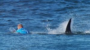 Mick Fanning's near-miss in J-Bay overnight.