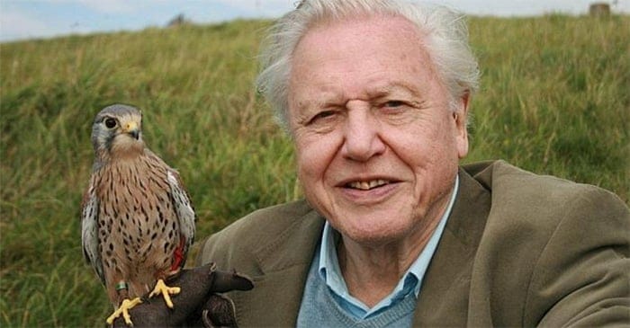 When David Attenborough visited Disappointment Island in 1971, he said it was a shit hole. PHOTO: Supplied. 
