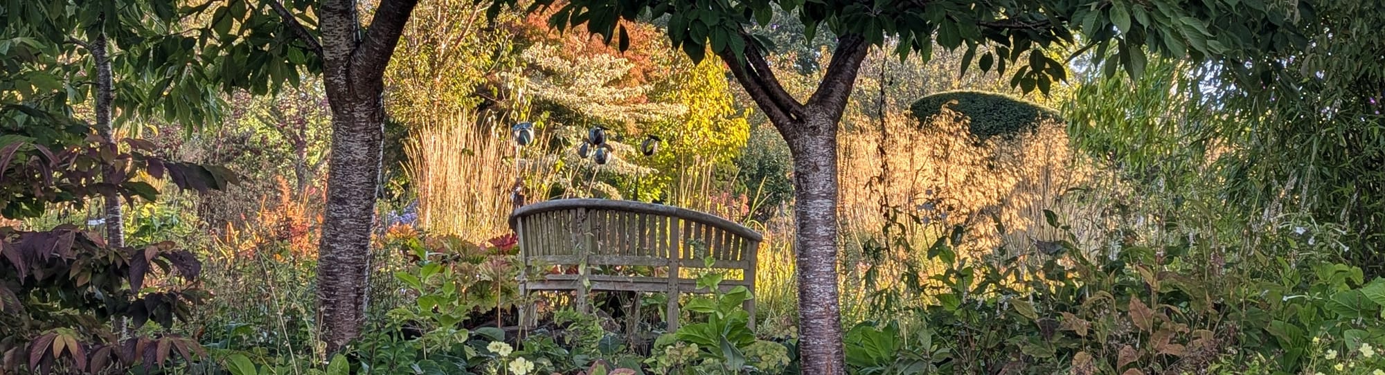 Everything under the sun