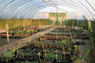 The longest night and the real new year.