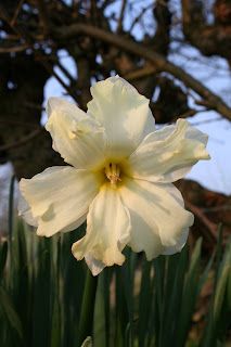 Reinforcements (threeandfourpence, Dad?)