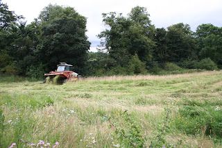 Another blazing NGS day.