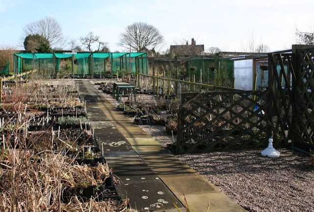 Bluebell Cottage, five years on. Part One...