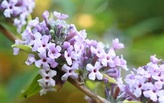 On not being here...