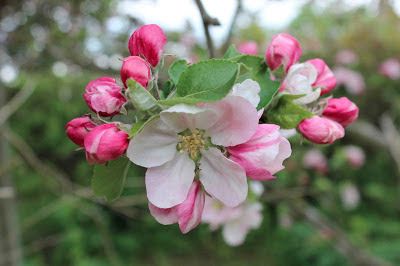 A touch of wordlessness