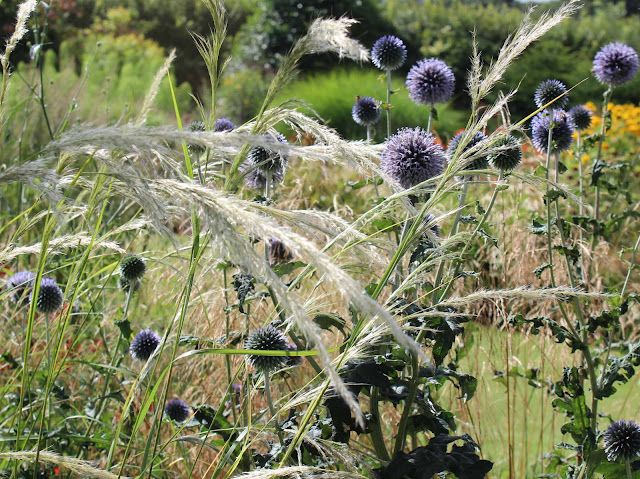 Perennial grasses, perfect partnerships