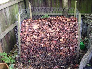 It takes two years but it's worth it