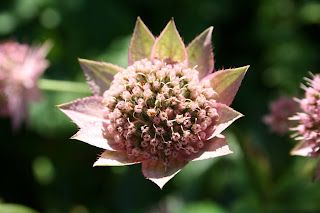 A quick note of thanks...