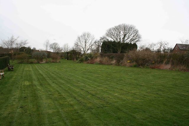 Bluebell Cottage - the first five years - Part Two