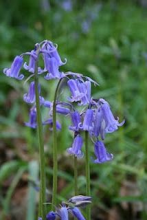 A bit late, but still lovely