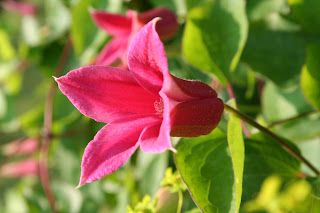 The calm between storms