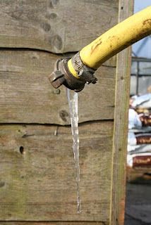 Delightful by day, deadly by night.