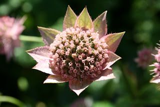 First talk tonight - if I can...