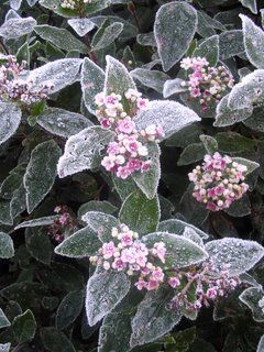 Seriously cold this time - for England, if not for Switzerland....